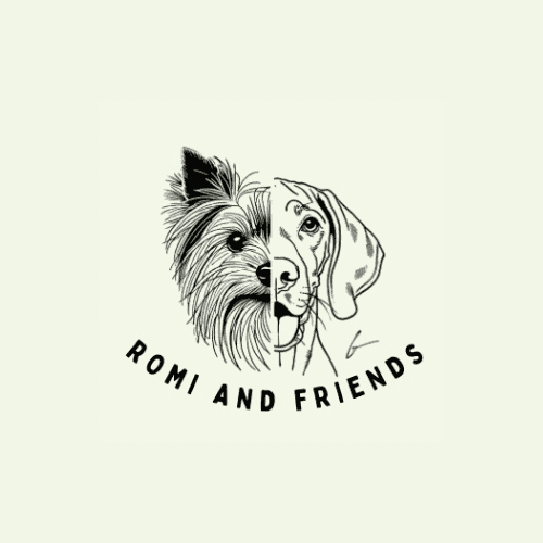 Bannière de ROMI AND FRIENDS