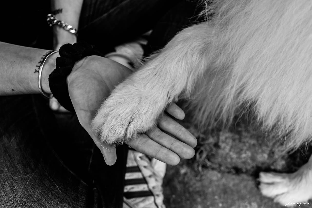 Bannière de SALSA&Co