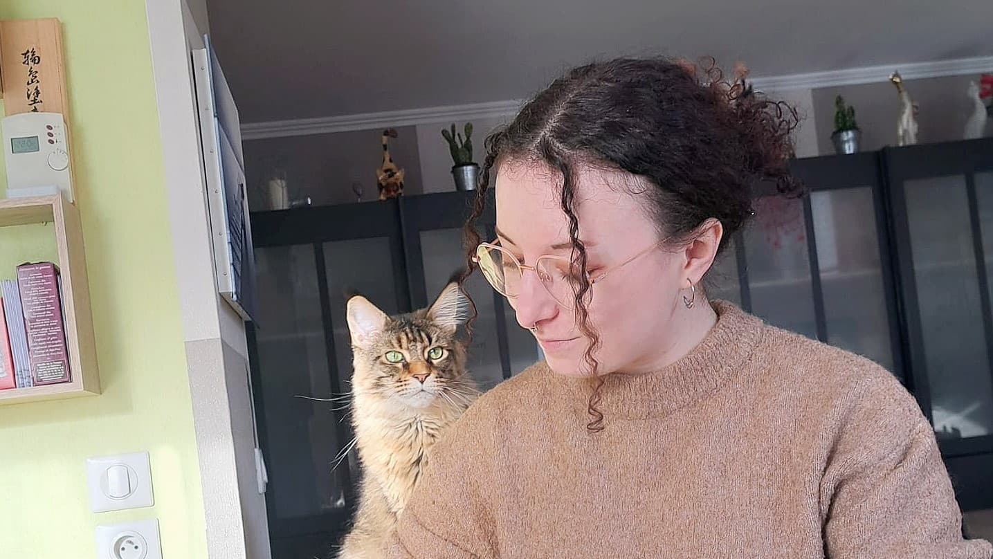 Bannière de Carniya