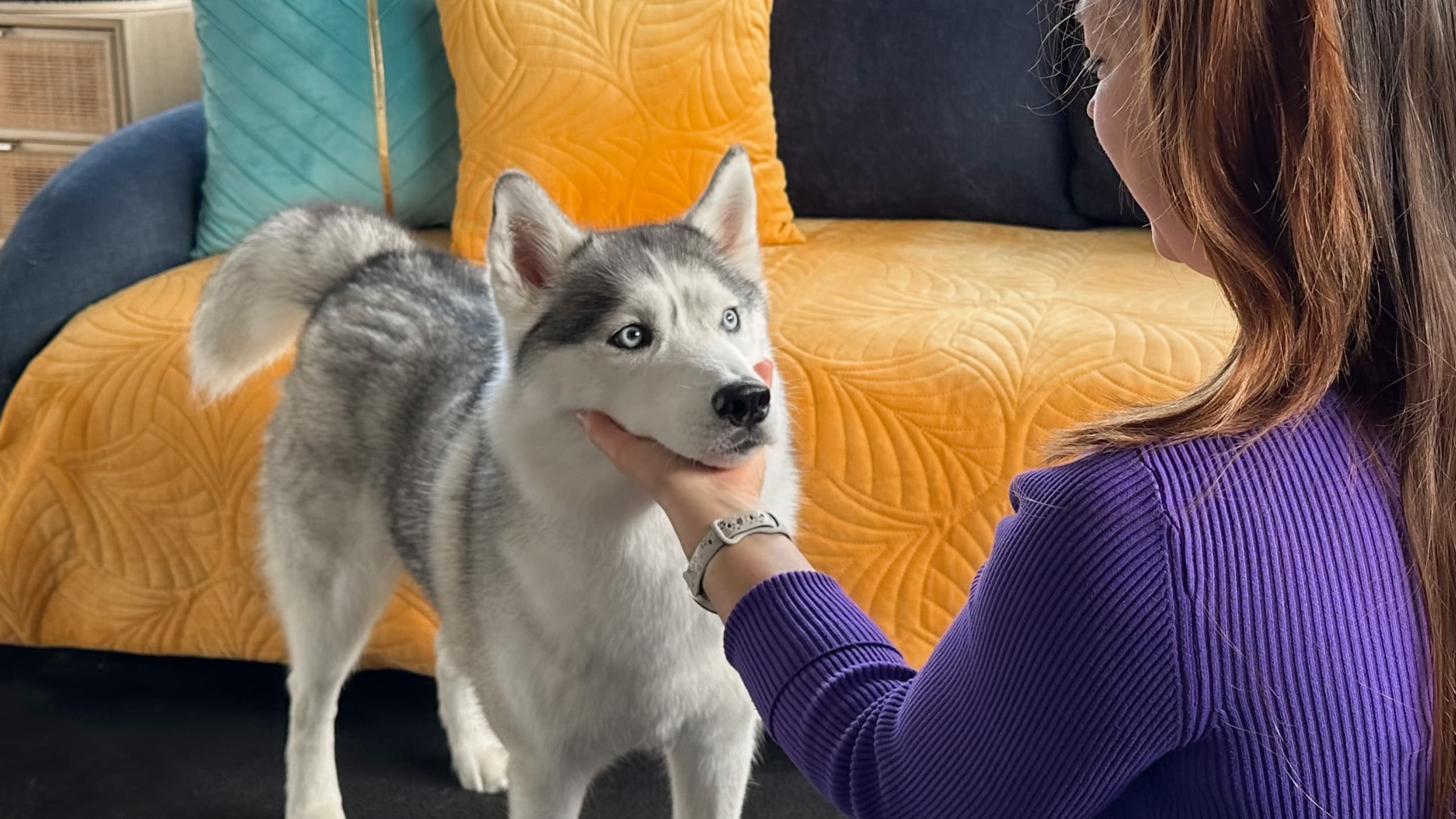 Bannière de Hey Saika