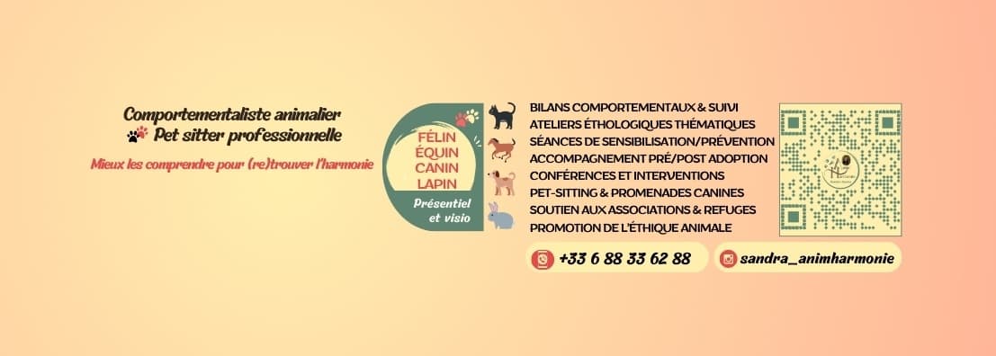 Bannière de Anim'Harmonie