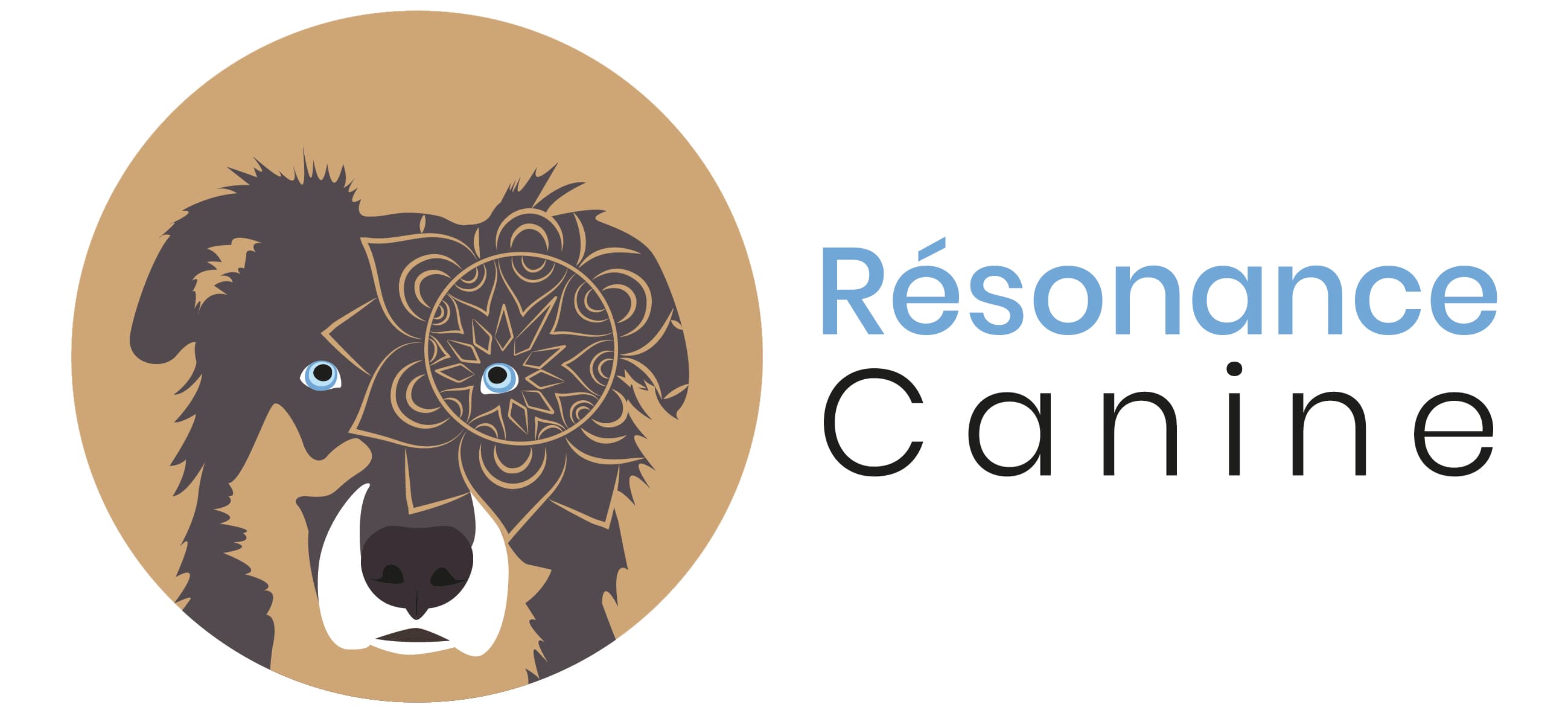 Bannière de Résonance Canine