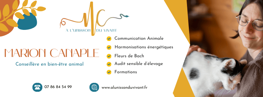 Bannière de A l'Unisson du Vivant