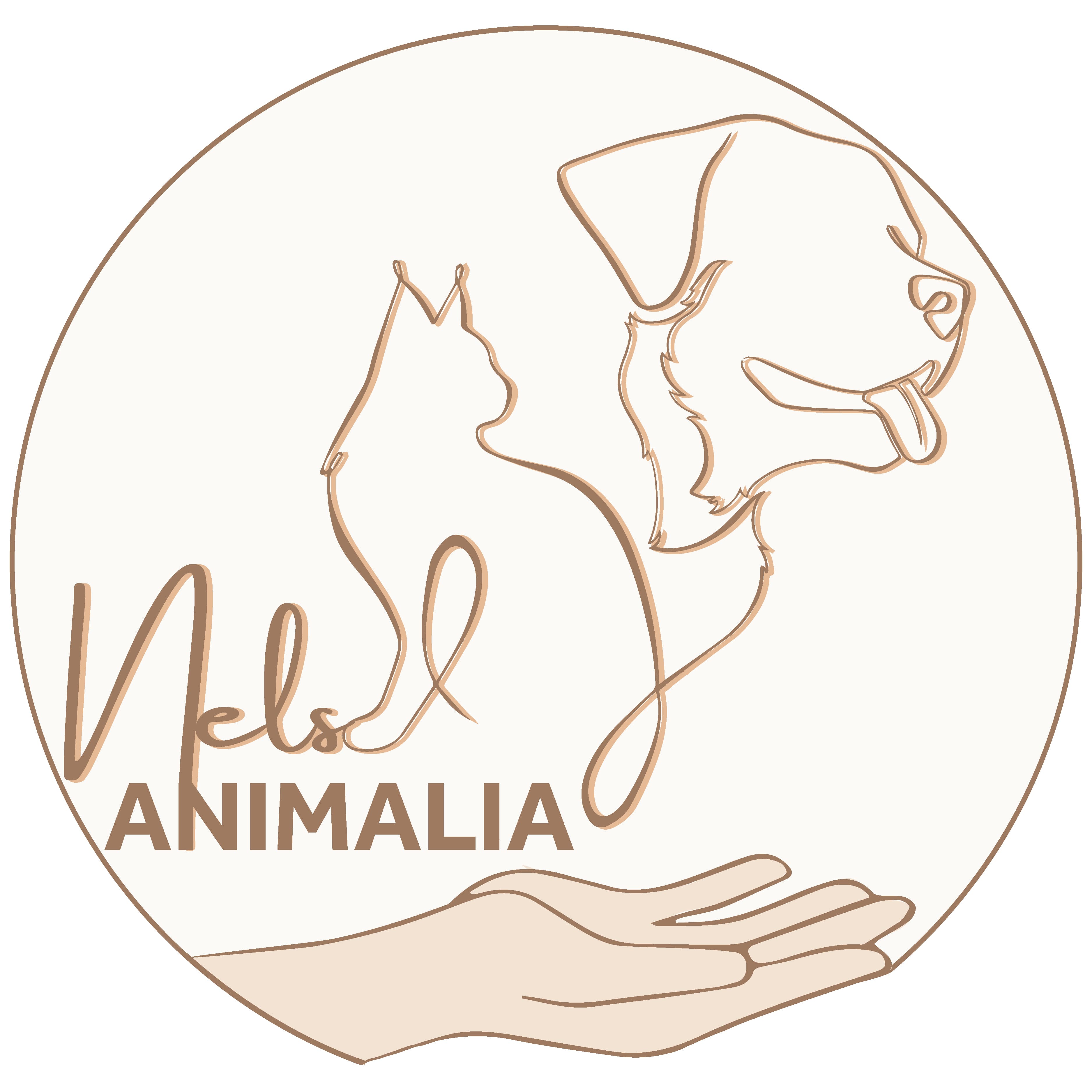 Bannière de Nels Animalia