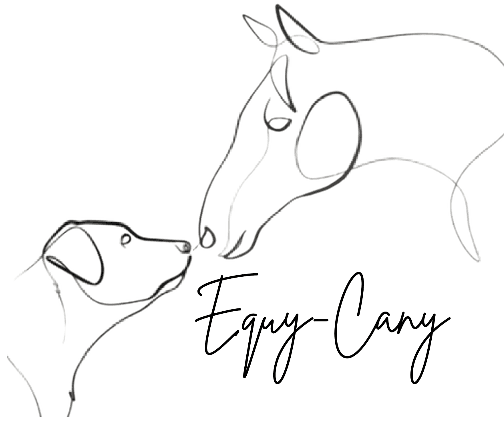 Bannière de Equy-Cany