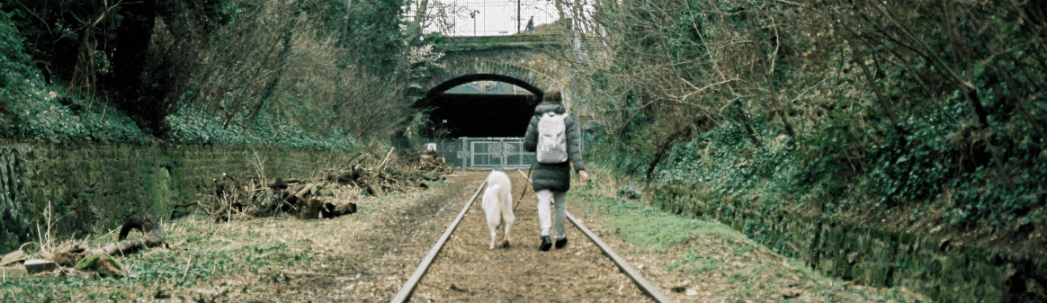 Bannière de Reconverchiens