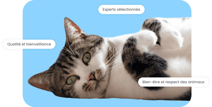 Des experts sans tiques en 2 clics