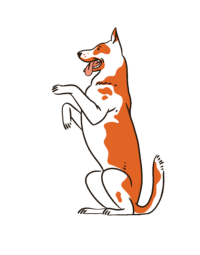 Chien debout - Tobalgo