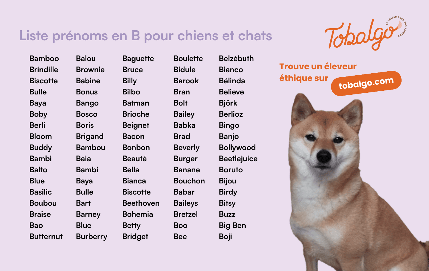 Liste prénoms en B pour chiens et chats