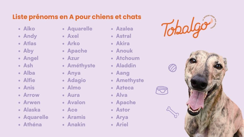 Liste des prénoms en A pour chiens et chats