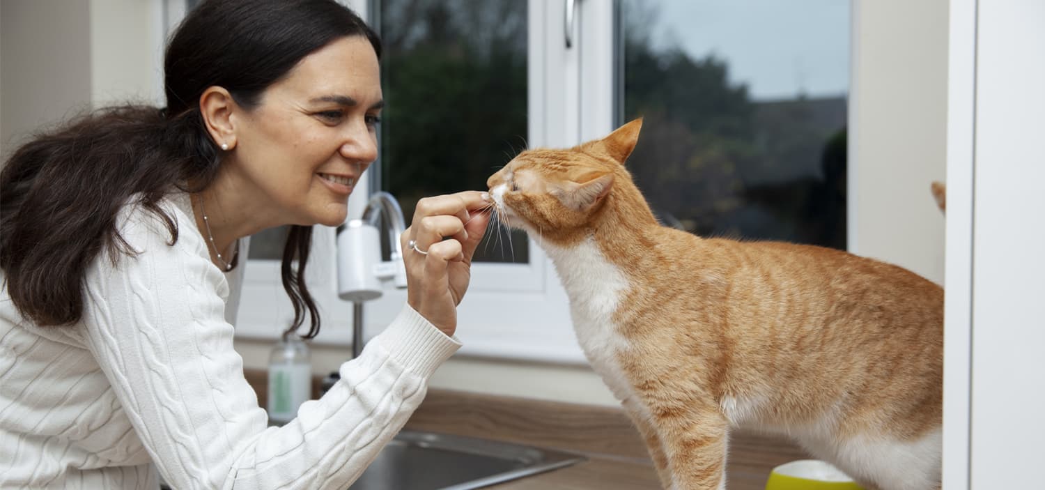 aliments interdits chats