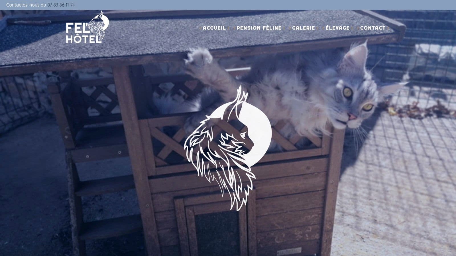 pension pour chats montpellier