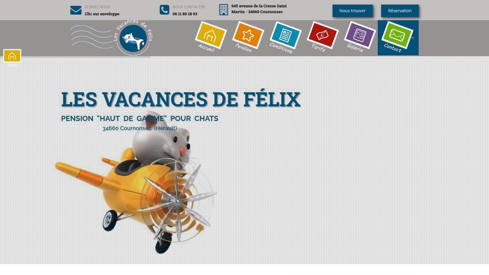 pension pour chats montpellier