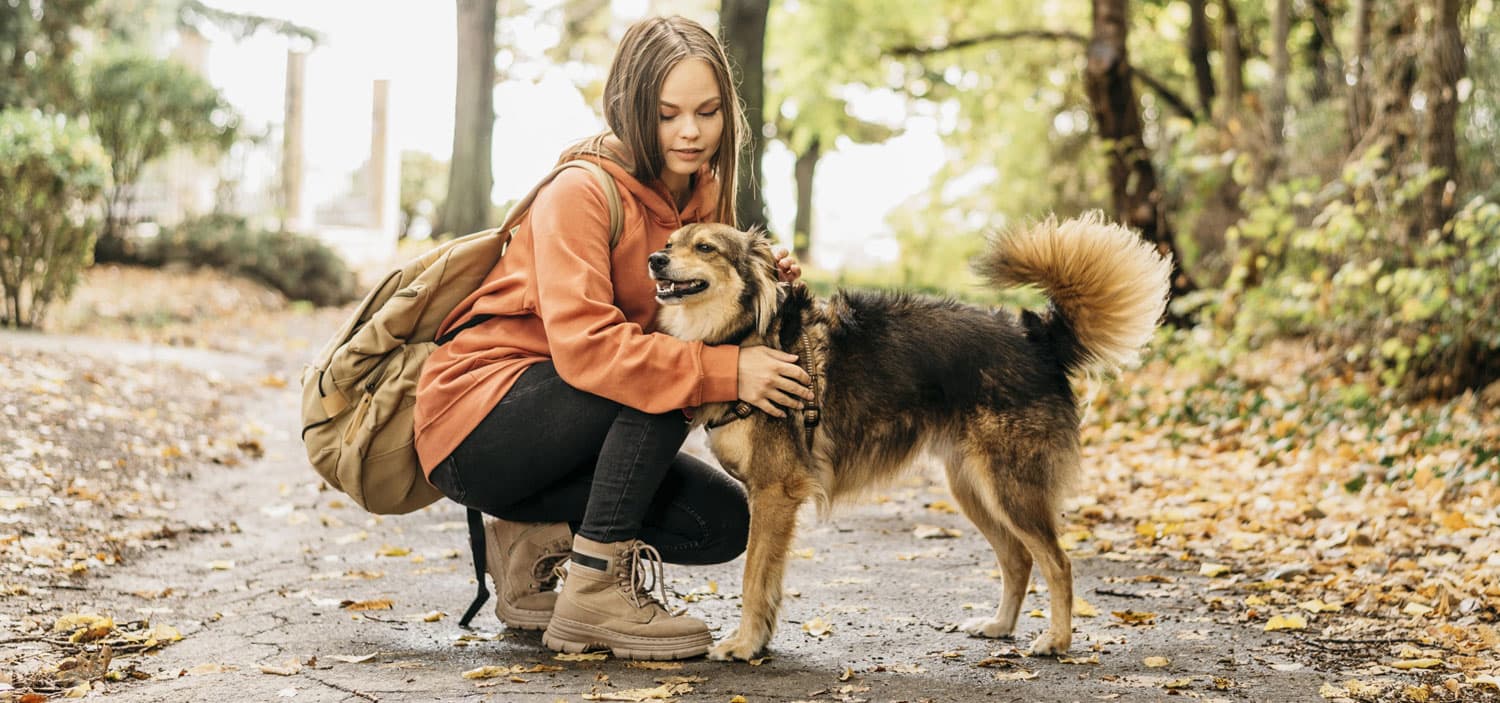 chien trouvé qui appeler