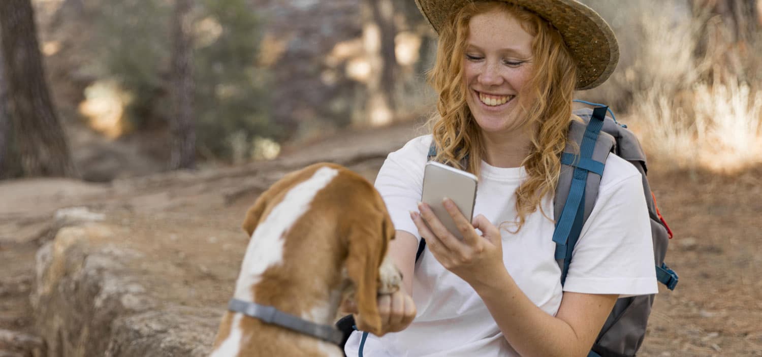 chien trouvé un dimance que faire