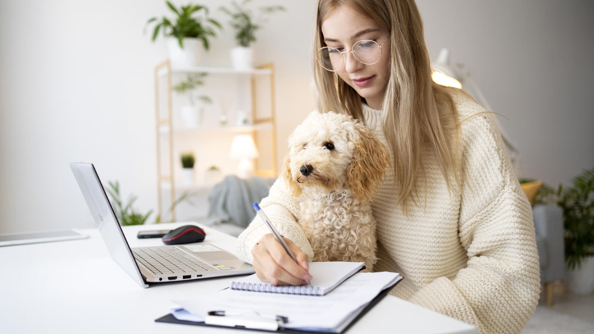 communication animale comment