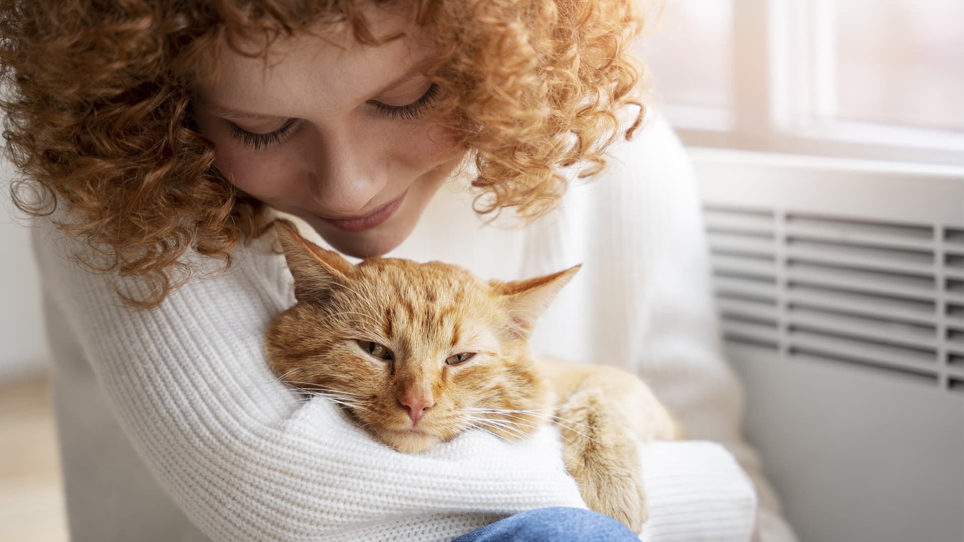 communication chien chat