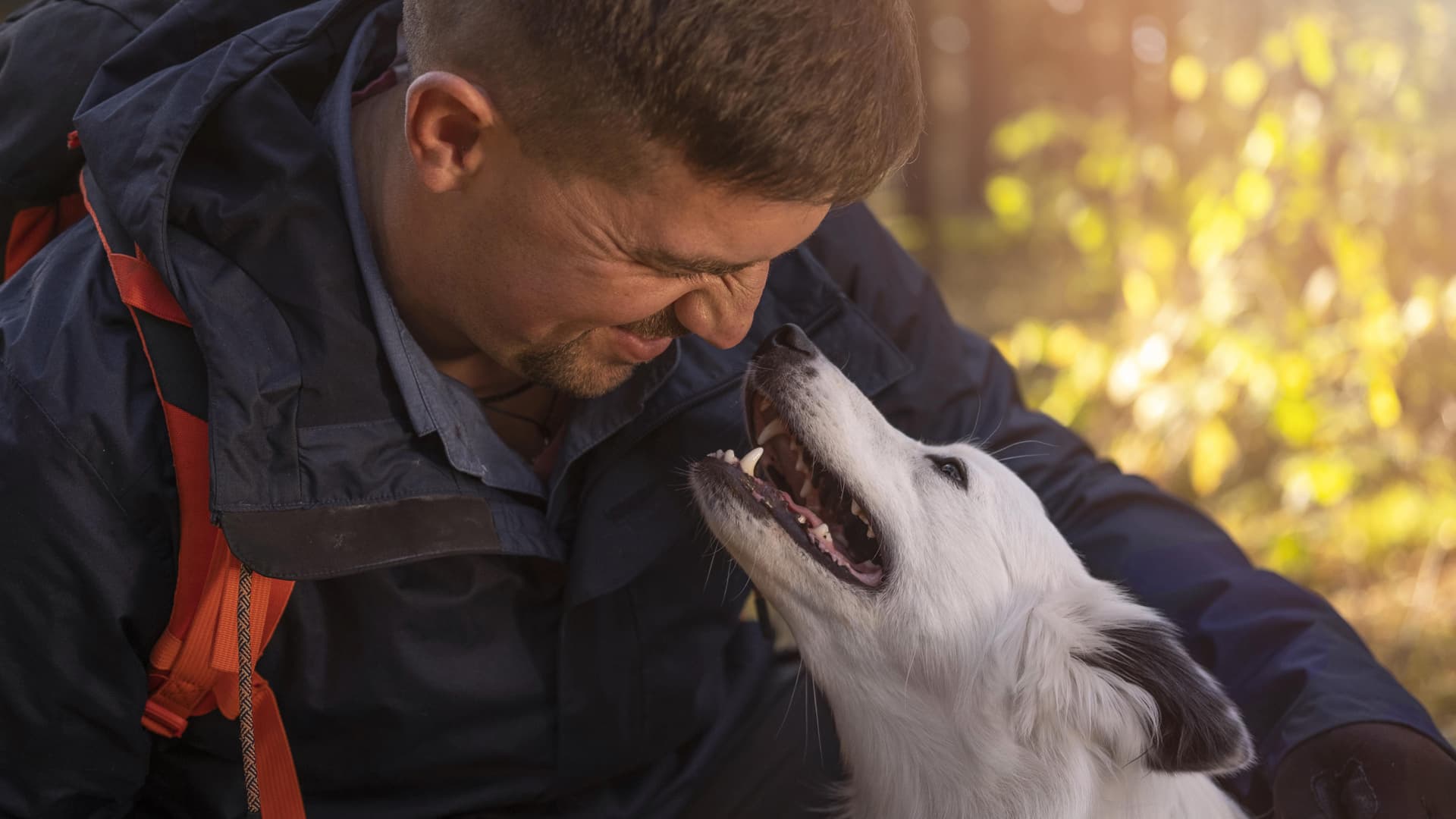 comportementaliste canin pro