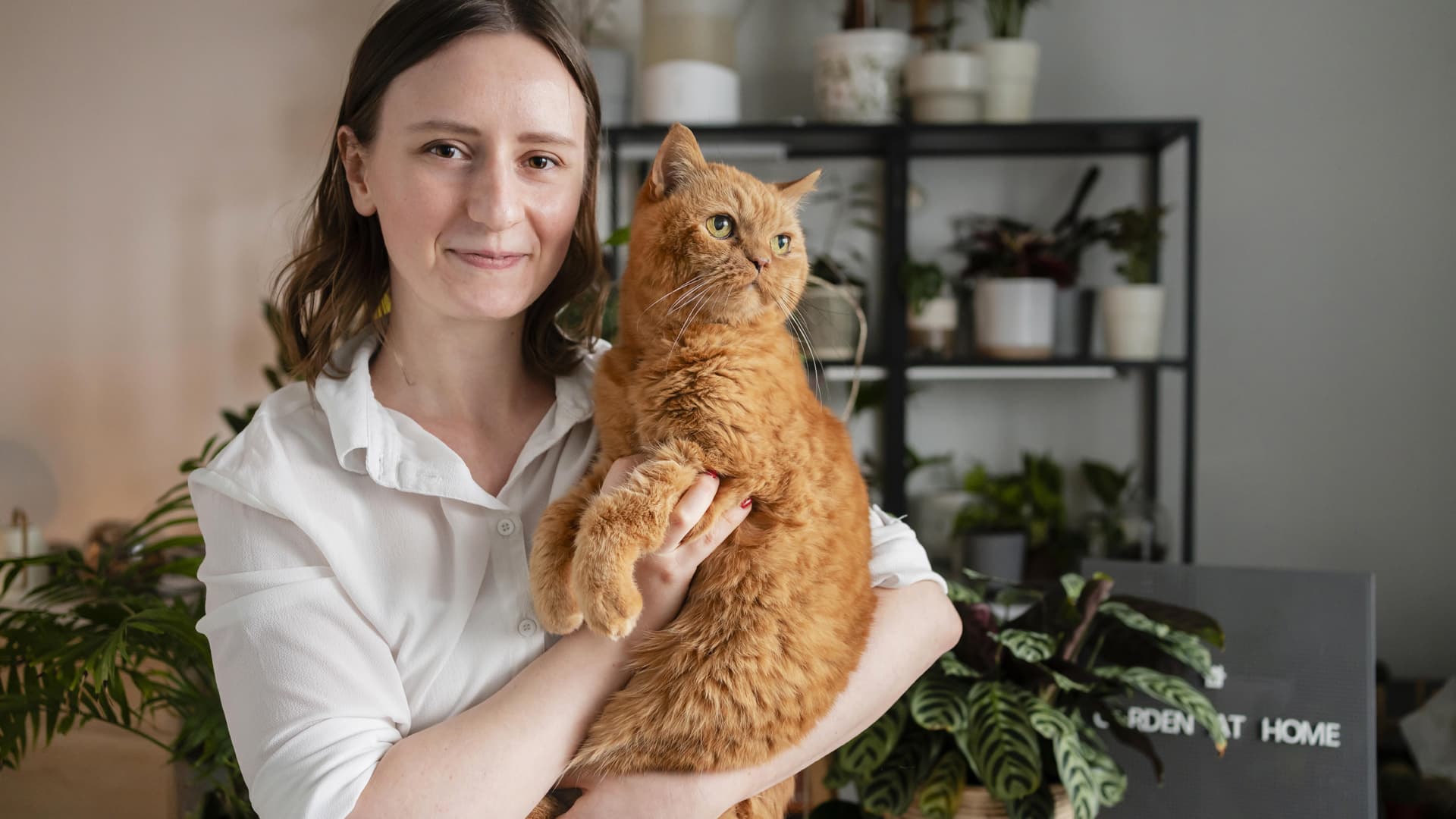éducateur chat professionnel