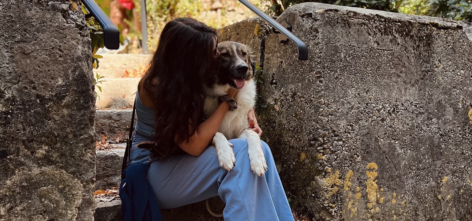 chien Roumanie adopté