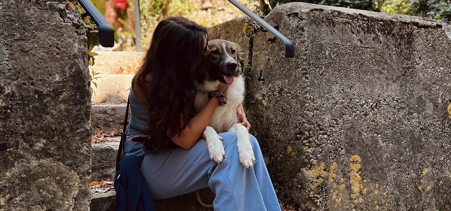 éducation positive chien