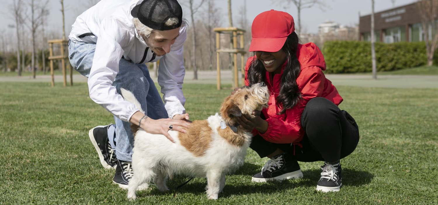 formation communication animale reconnue