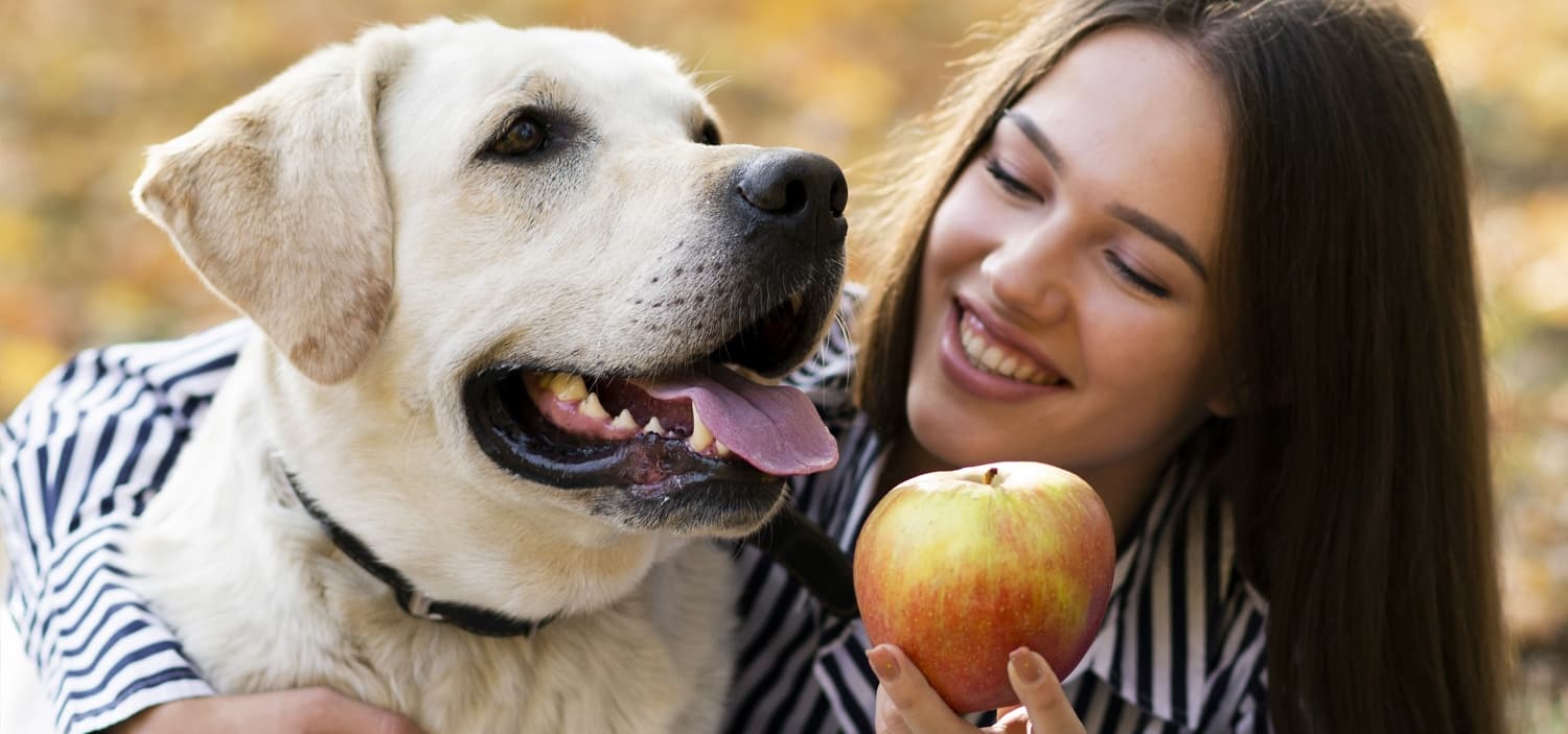 fruit bon pour chien