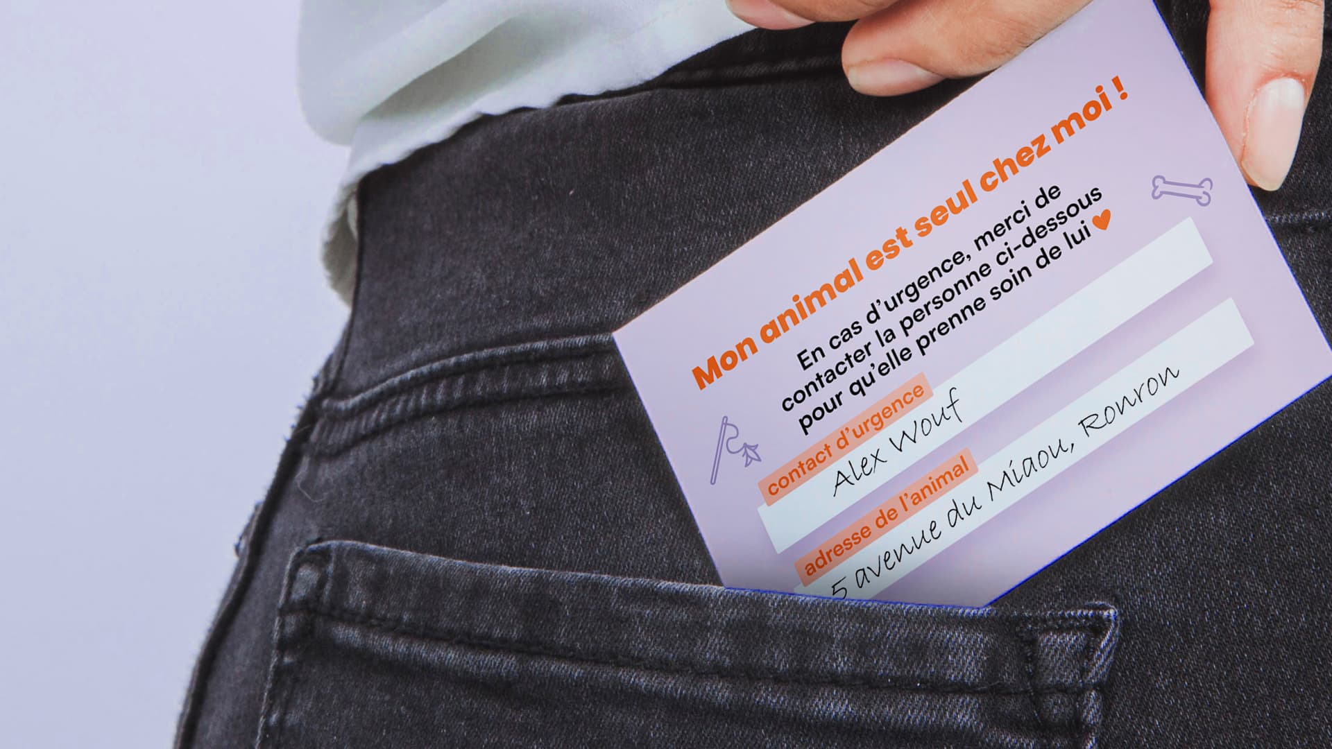 j'ai un animal seul chez moi