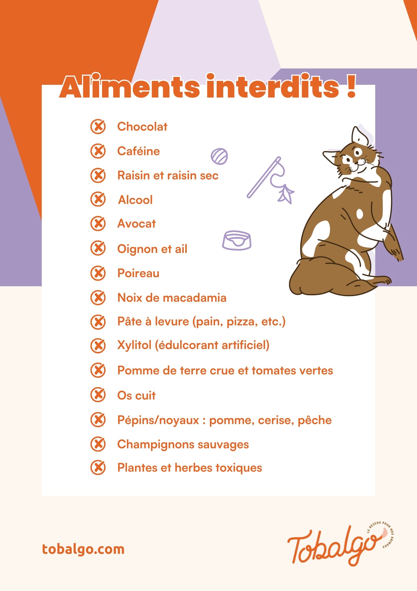 liste aliments toxiques chats