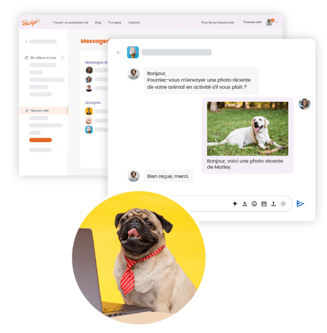 Une messagerie intégrée à portée de patte