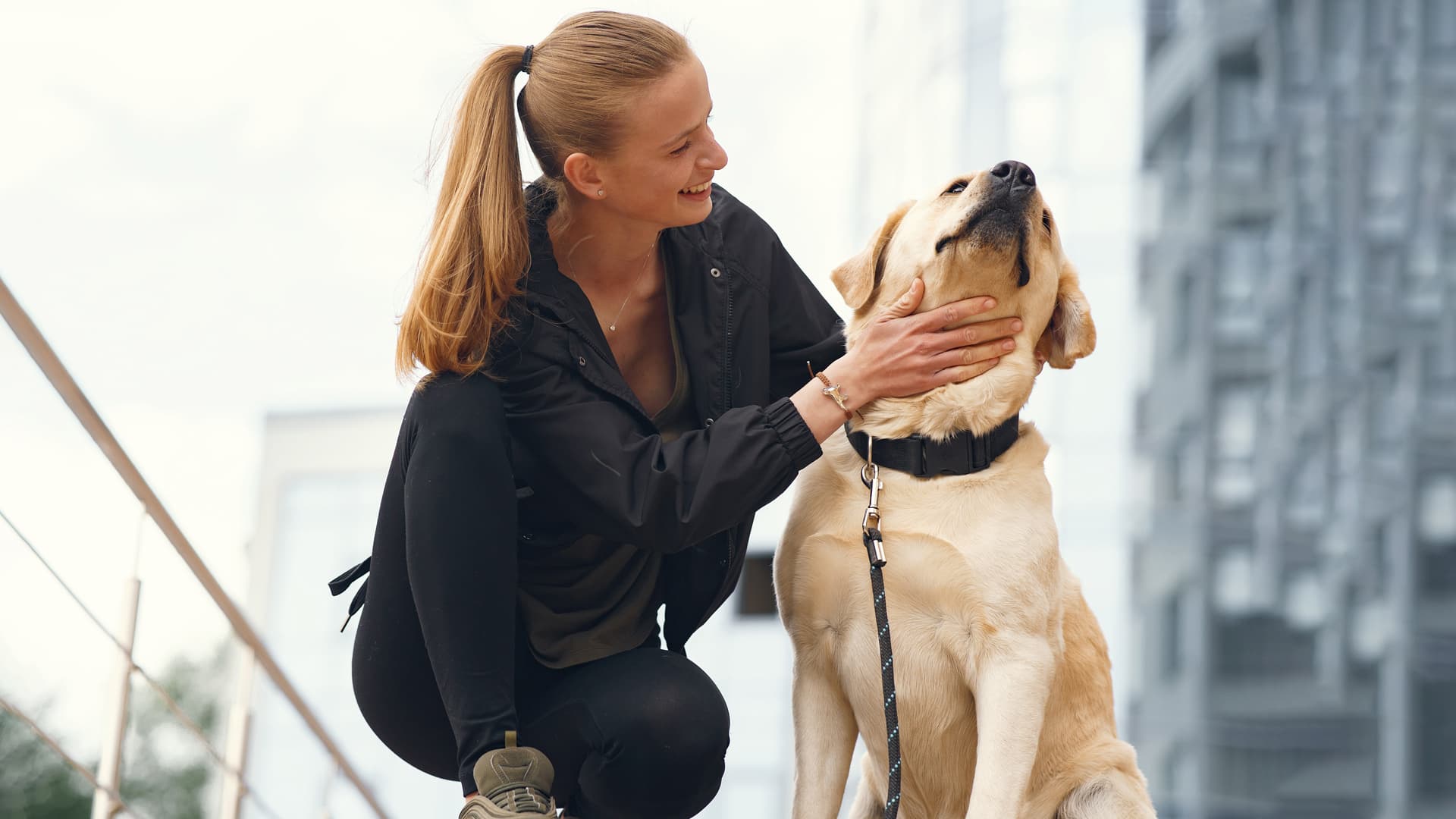 pension chiens paris