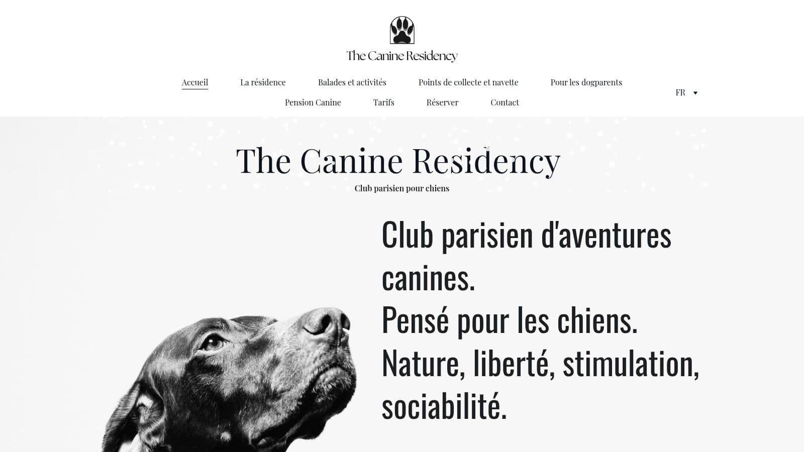 pension pour chiens à Paris