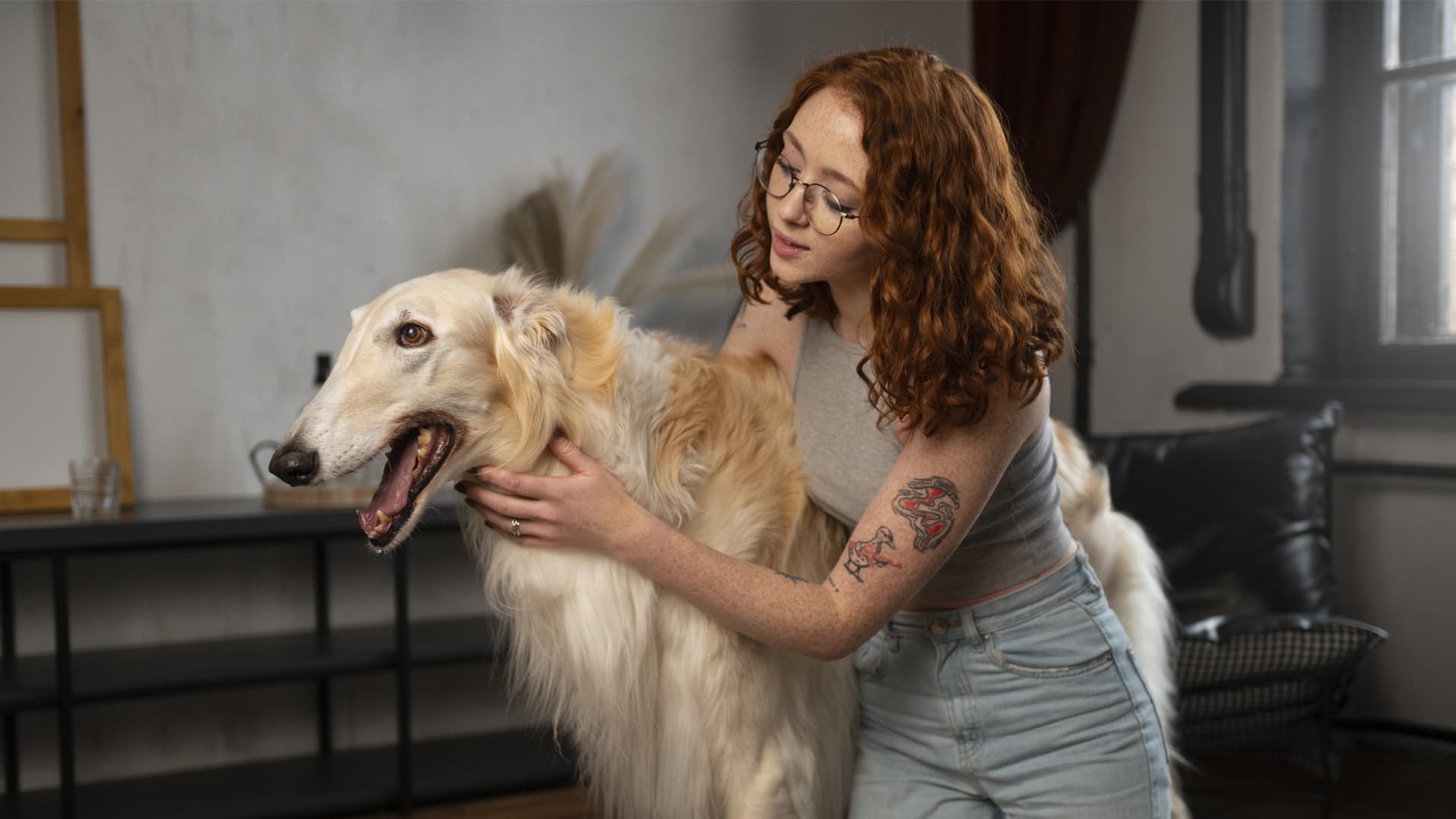 pet sitter chien professionnel