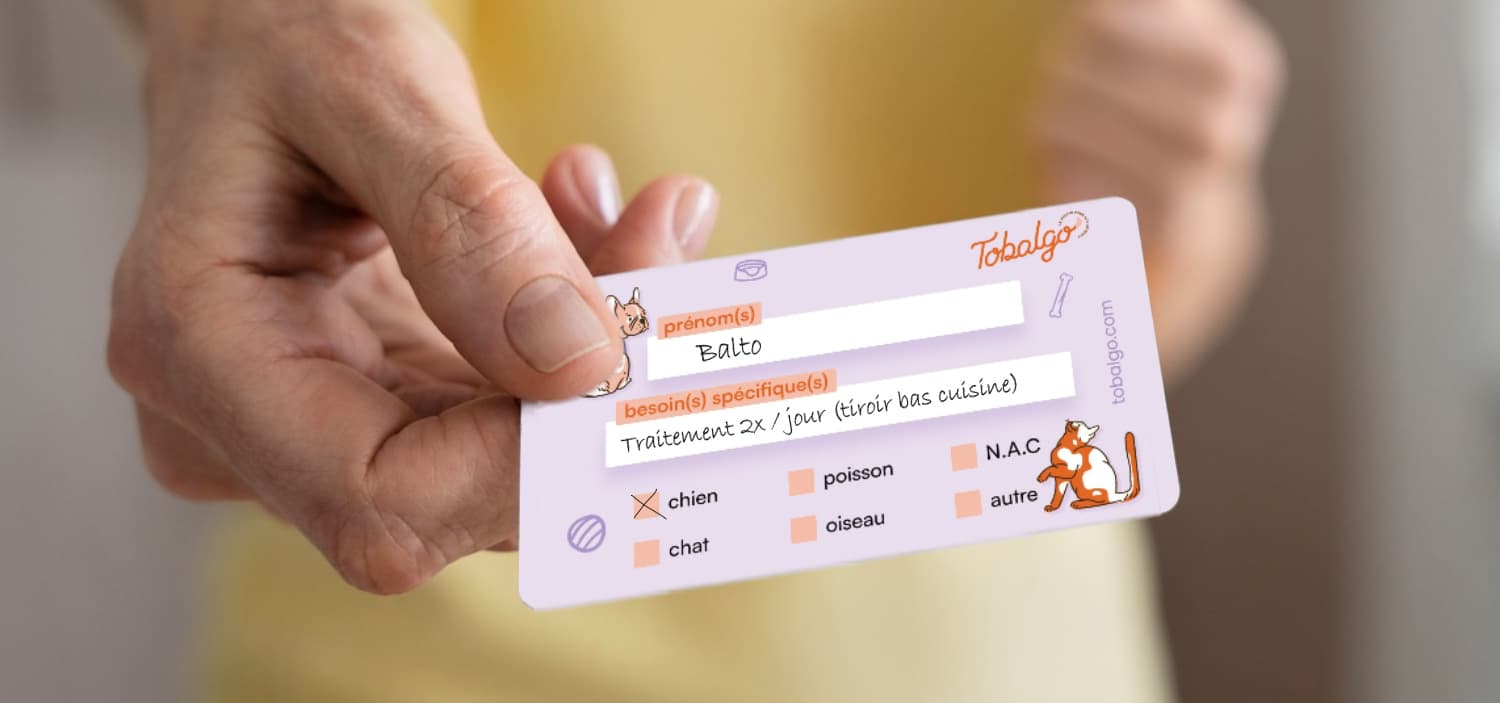 prévoir pour son animal en cas d’urgence