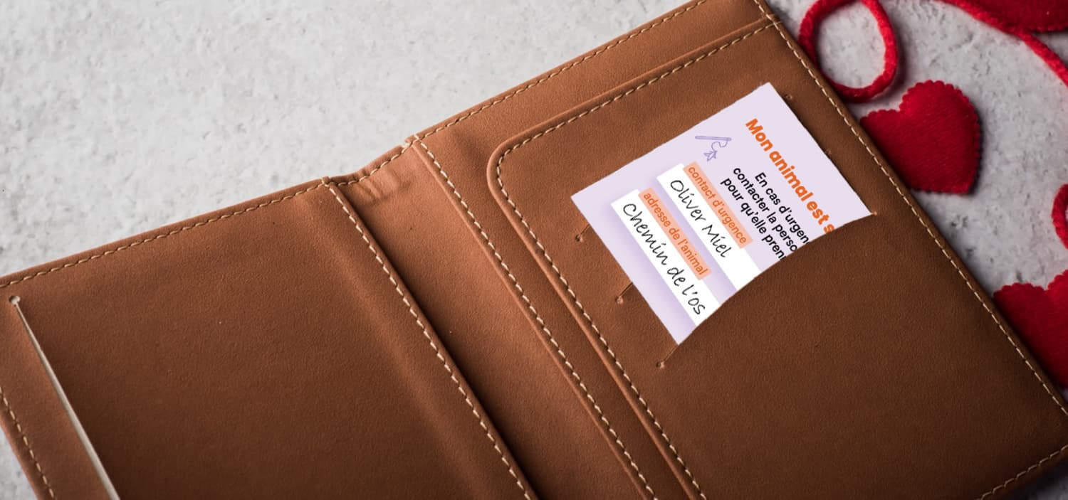 protéger son animal en cas d’hospitalisation