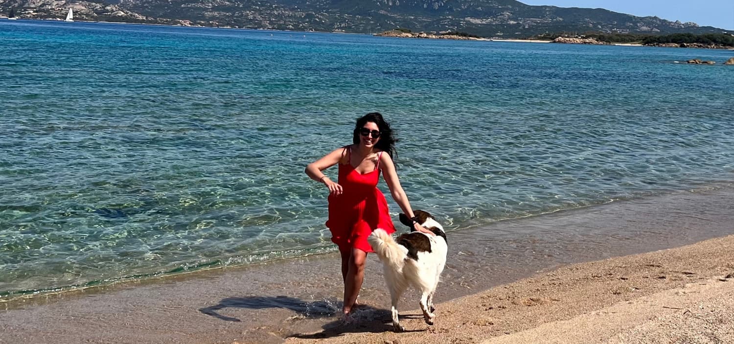 séance éducateur canin