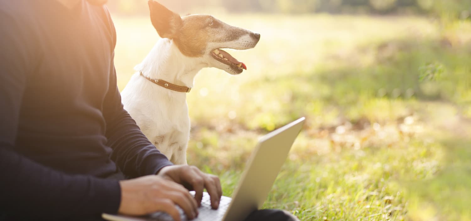 tarif formation communication animale