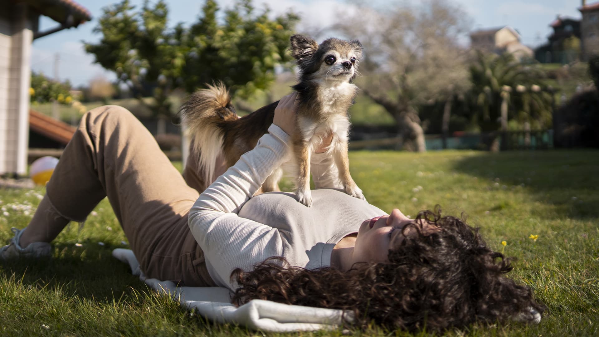 trouver pension canine