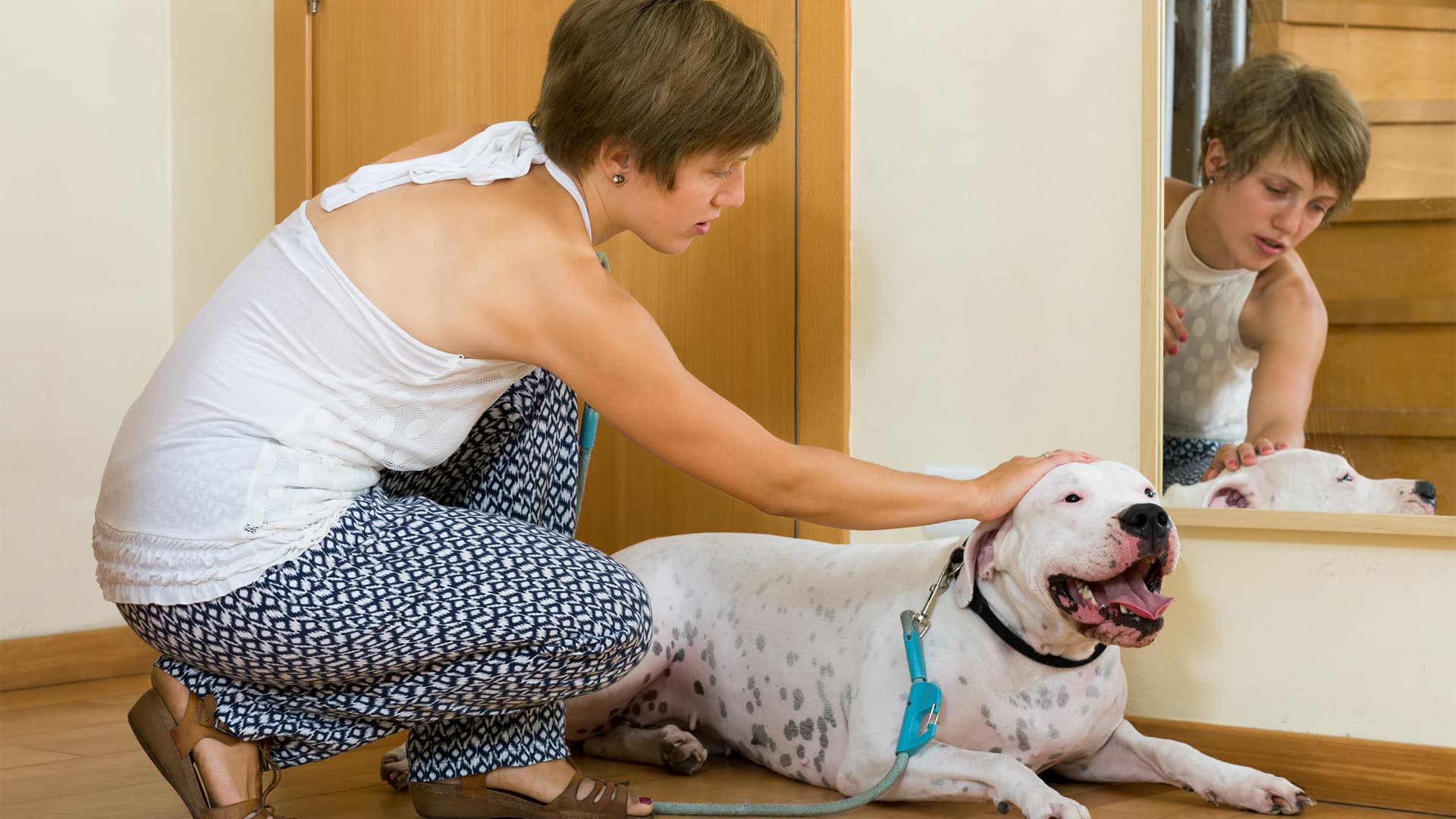 trouver pet sitter chien