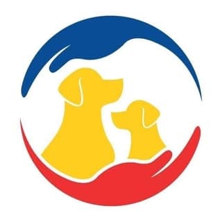 Les oubliés de Roumanie