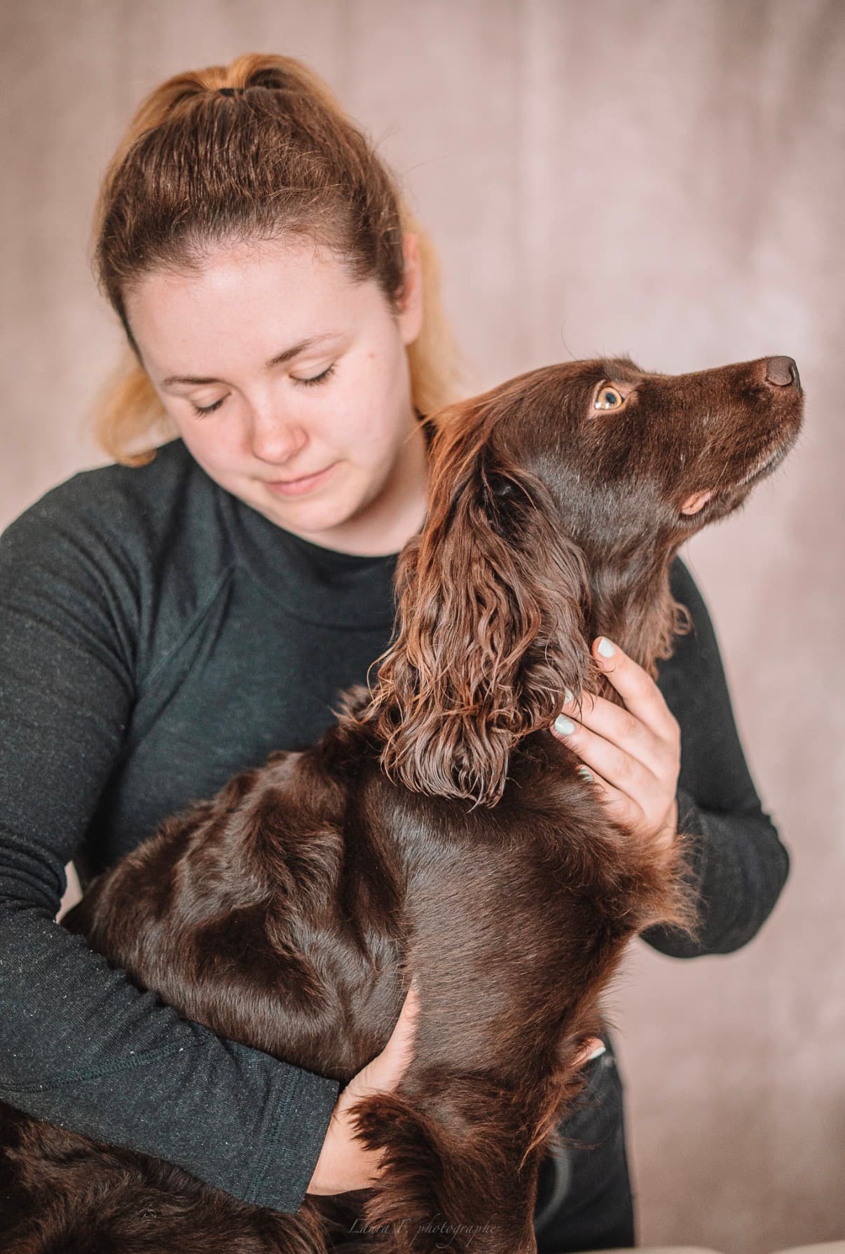 Bannière de Animaura