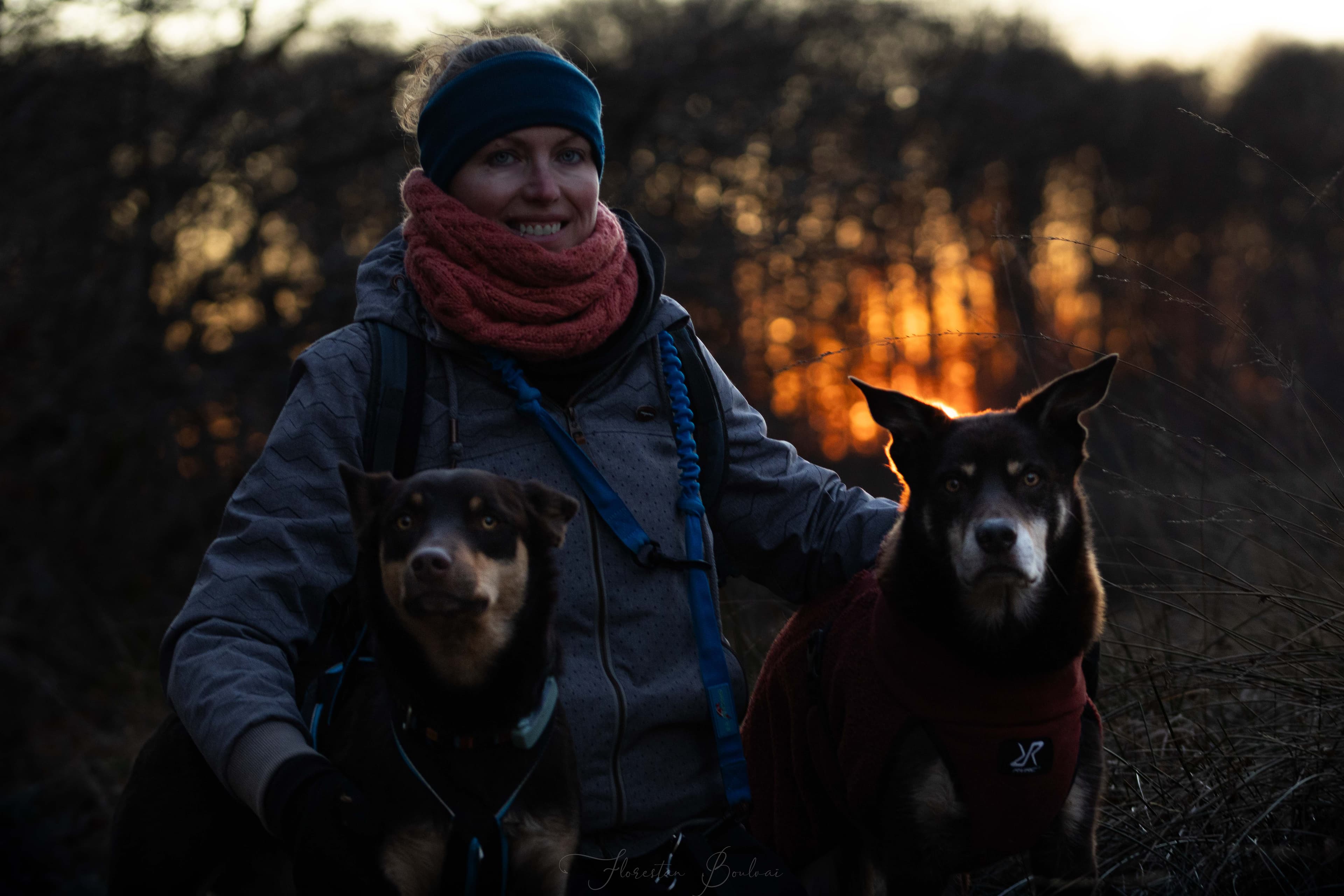 Bannière de Auranimalis