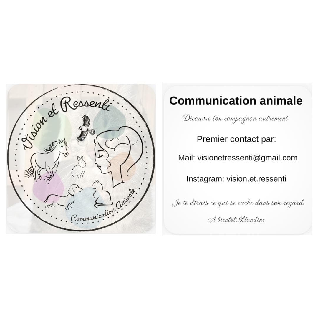 BanniĂšre de Vision et ressenti