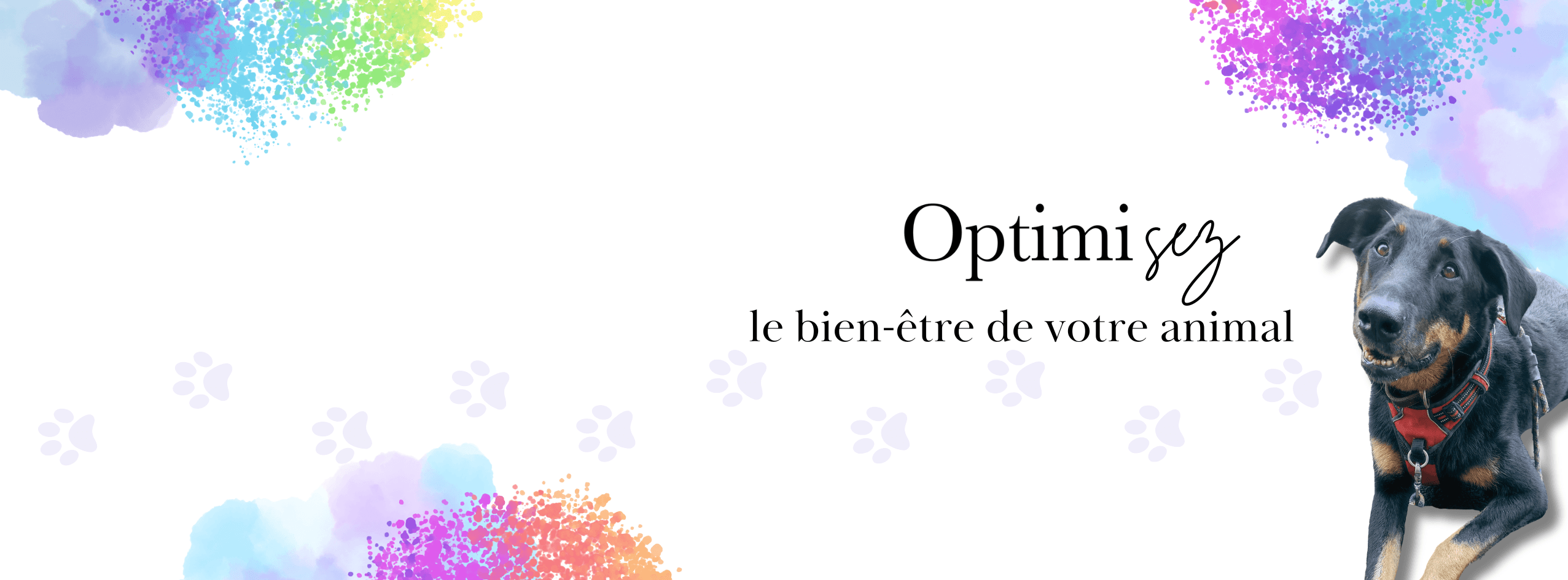 Bannière de Optimimo