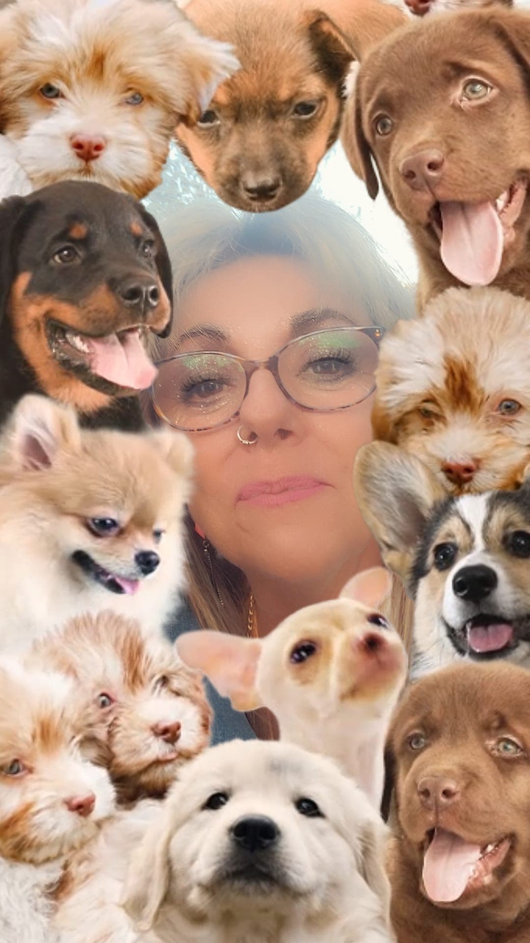 Bannière de Le Bonheur Canin