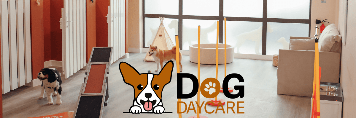 Bannière de DOG DAYCARE