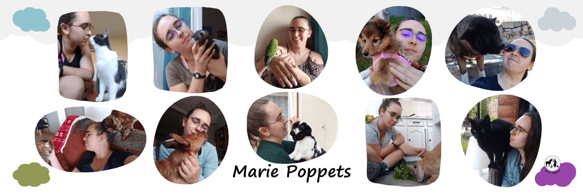 Bannière de Marie Poppets