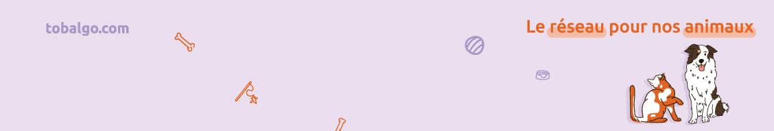 Bannière de Kylo Tobalgo