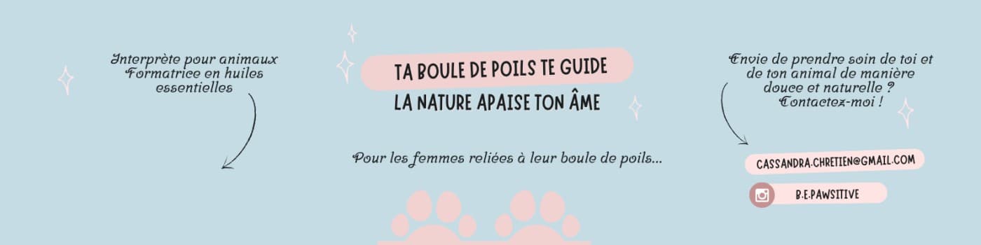 Bannière de Be Pawsitive