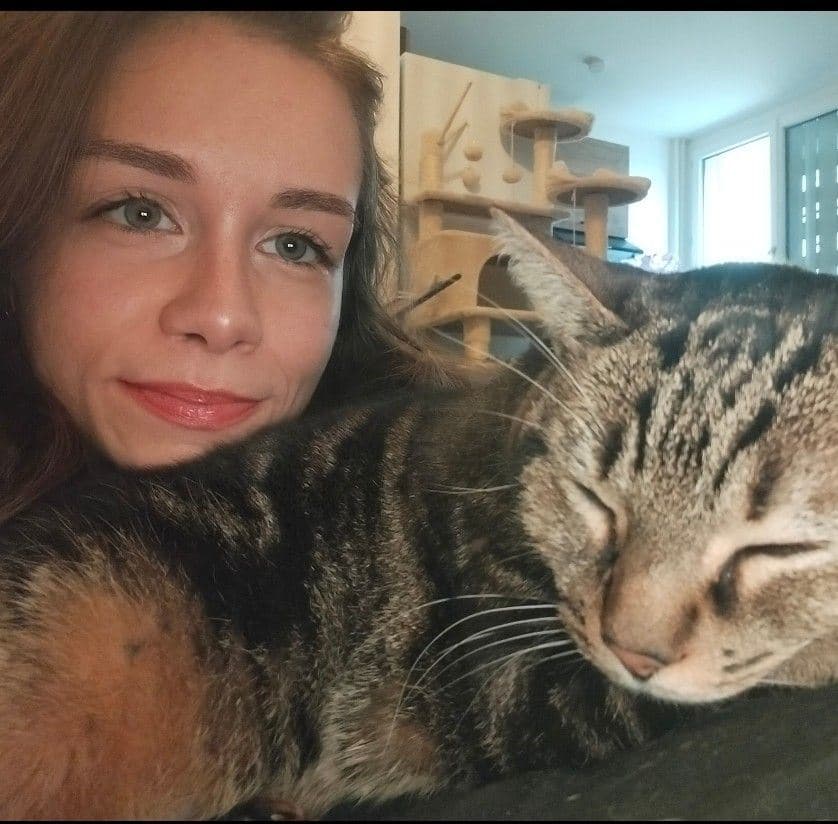 Bannière de Au rythme des pattes